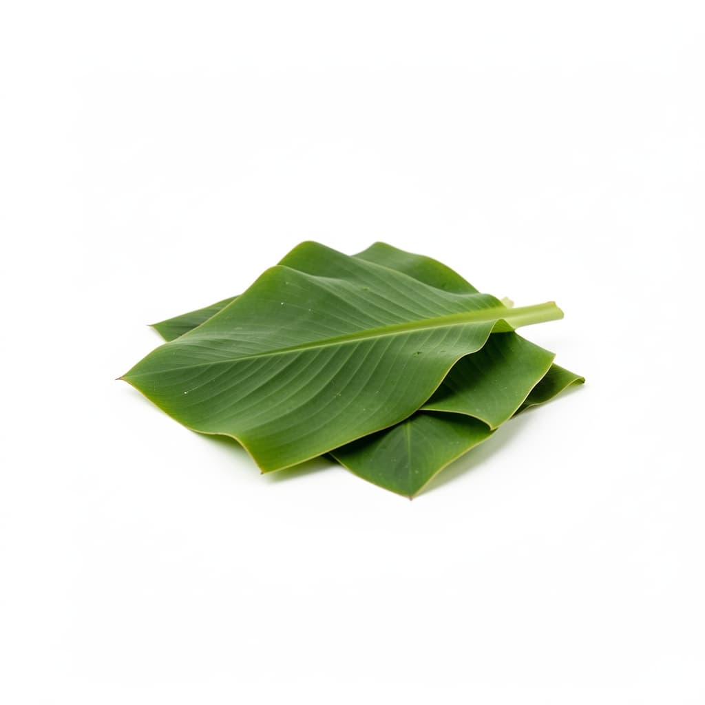 Banana Leaves