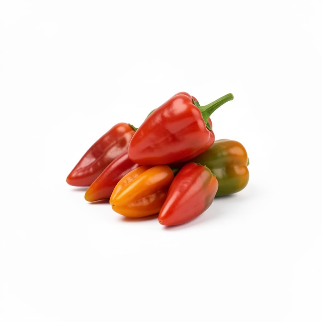 Habanero Pepper