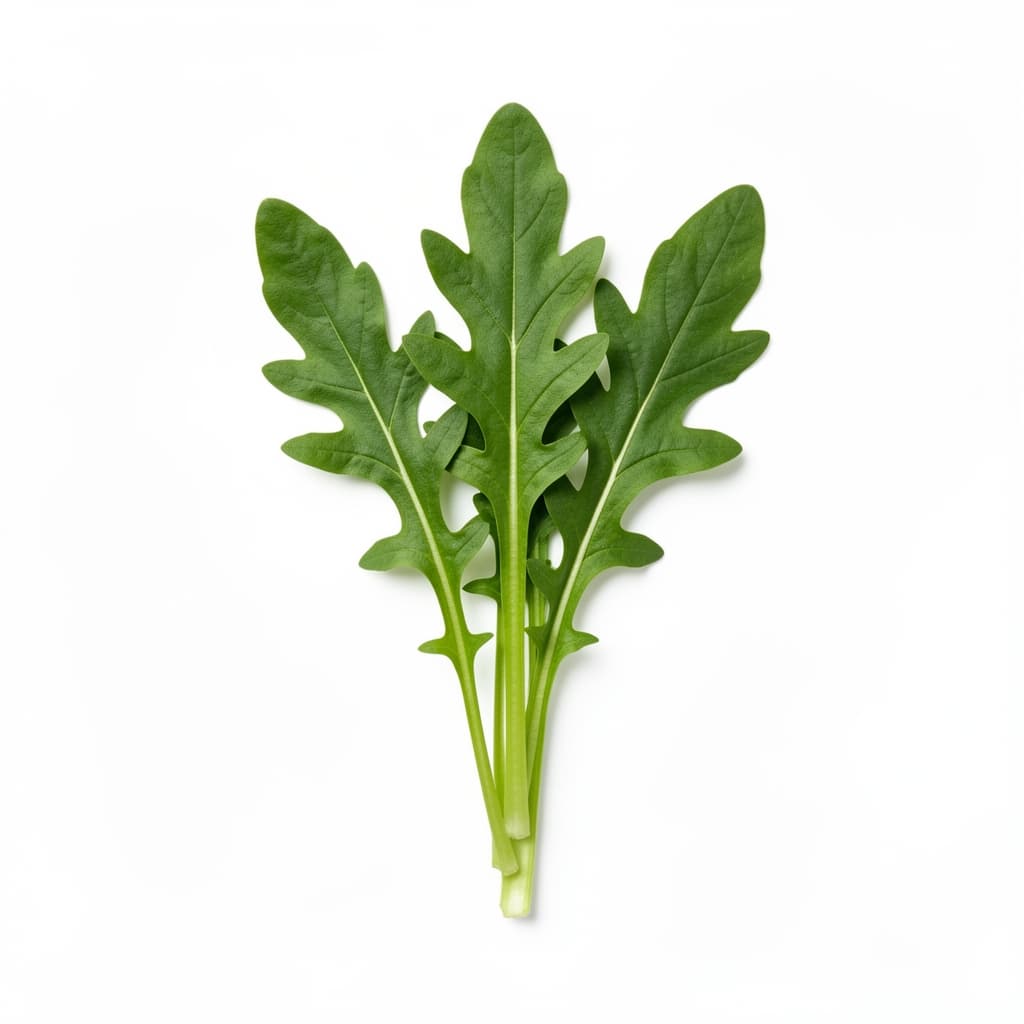 Baby Arugula