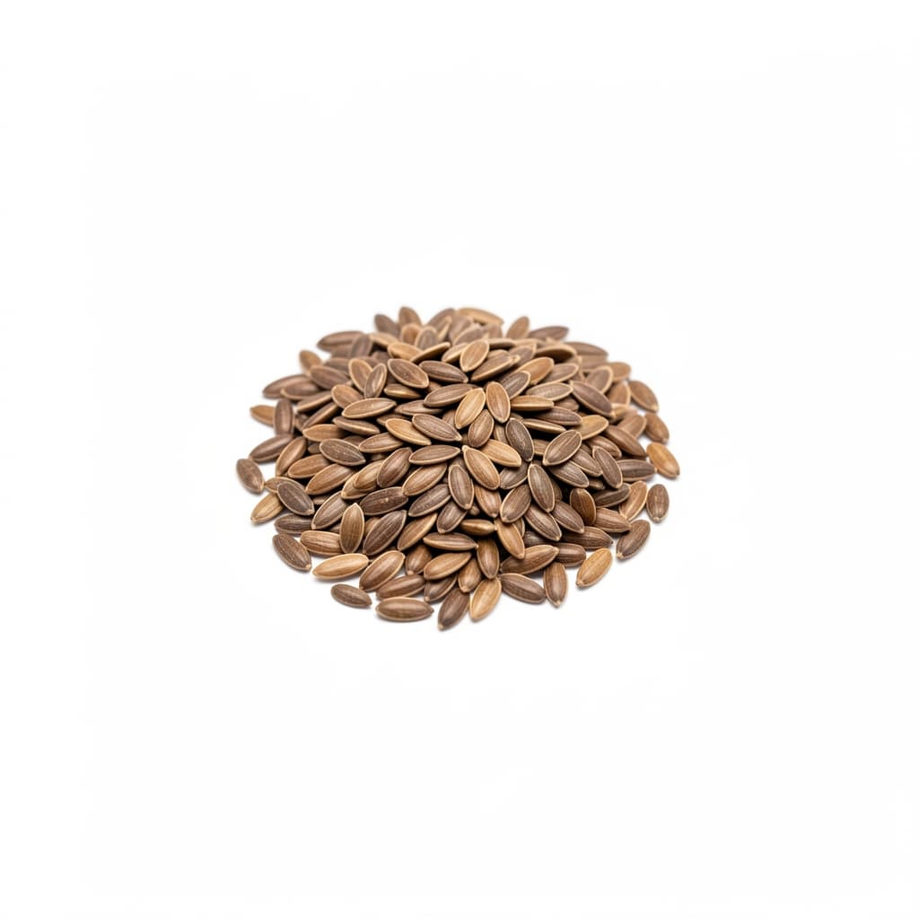 Flax Seeds