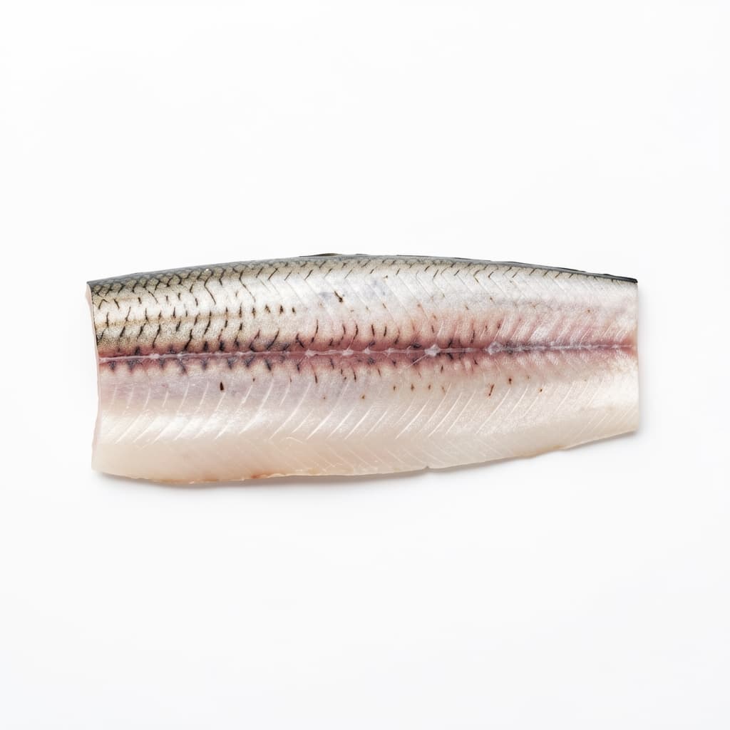 Sea Bass Fillet