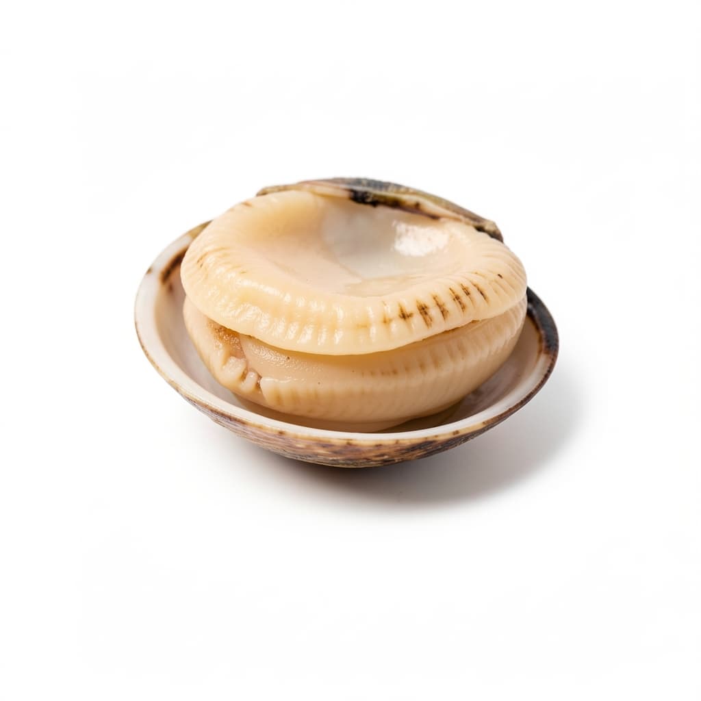 Littleneck Clams