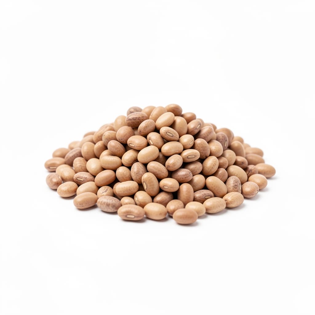 Dried Beans