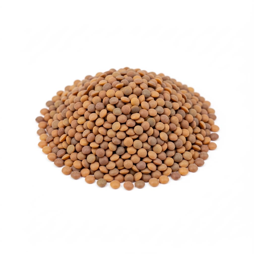Brown Lentils