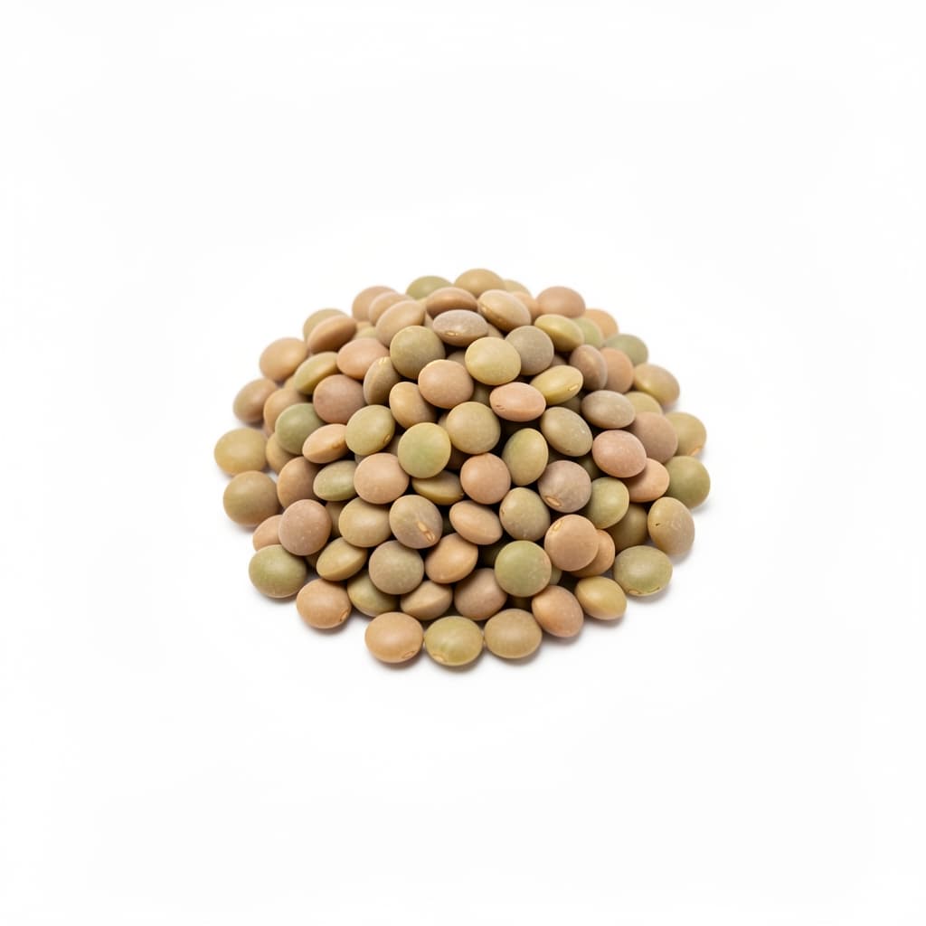 Lentils
