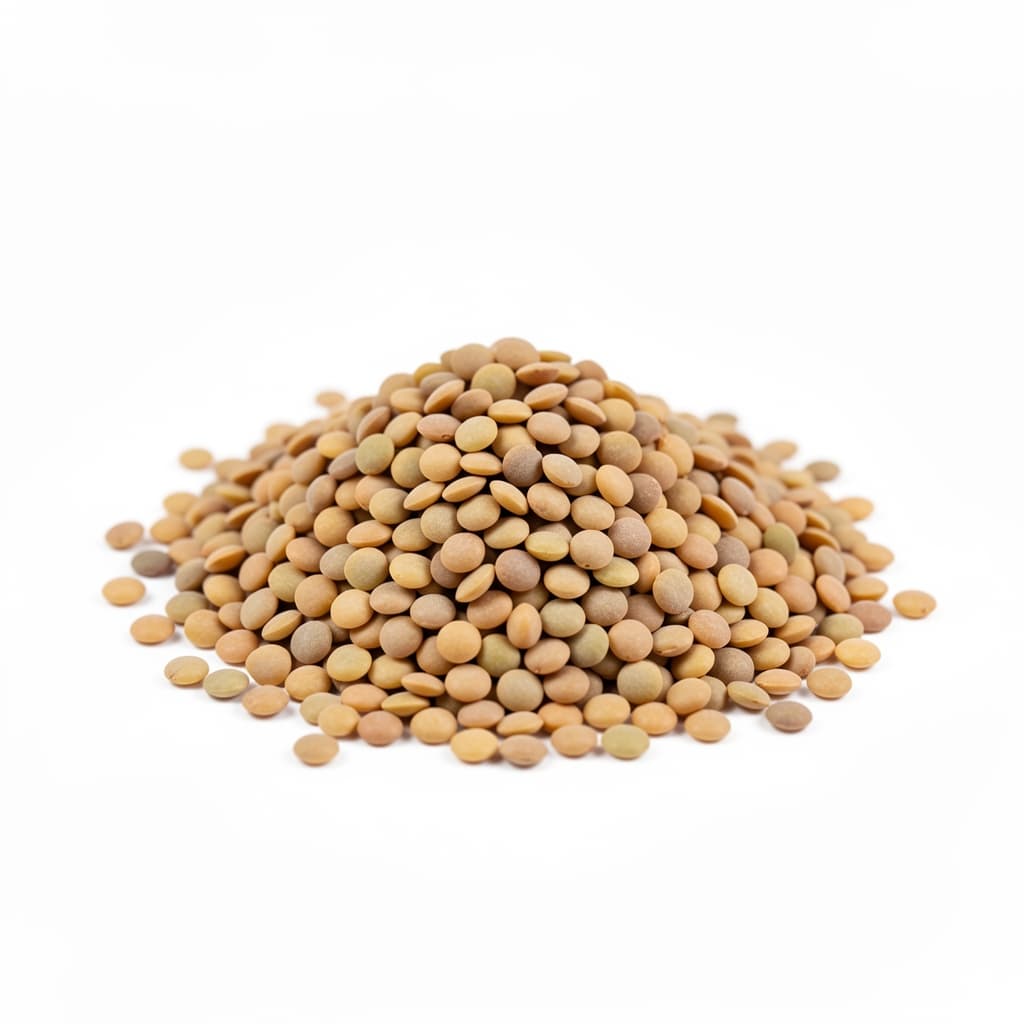 Dried Lentils