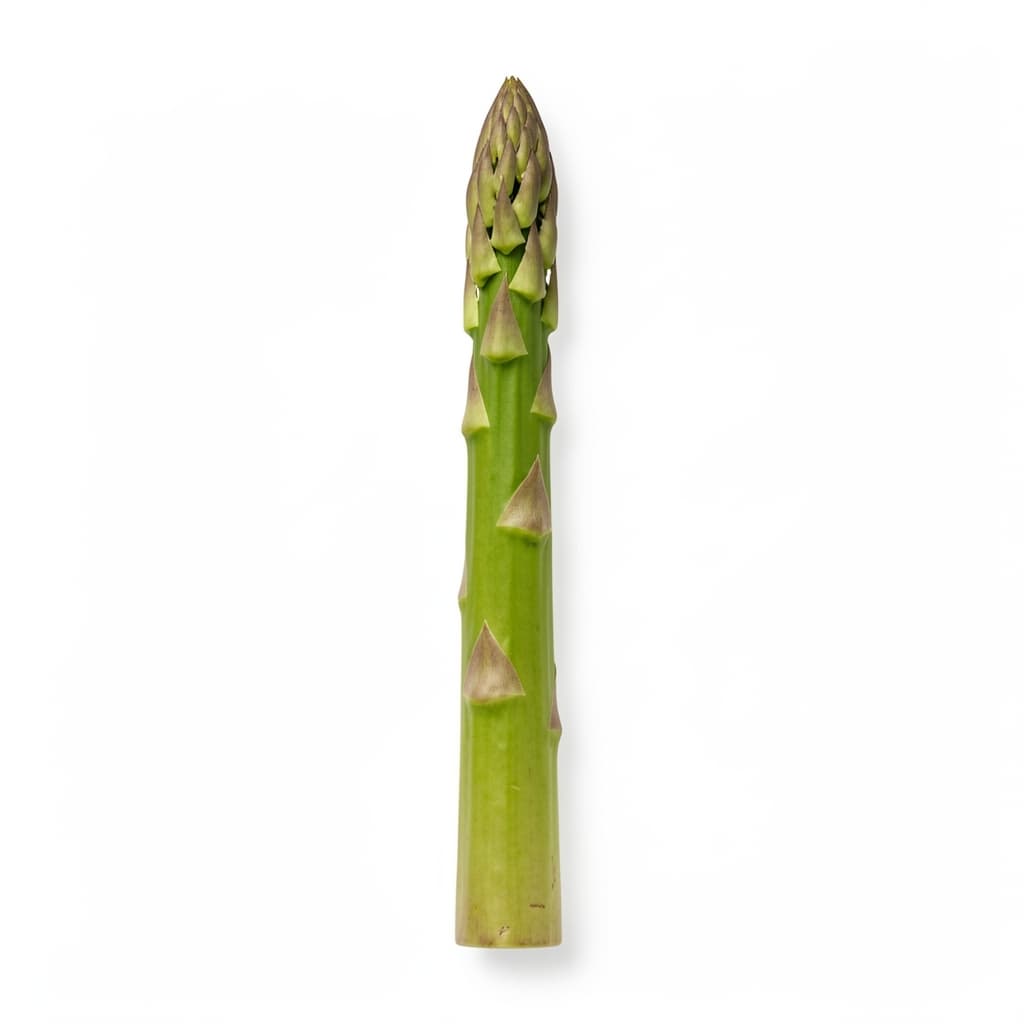 Asparagus