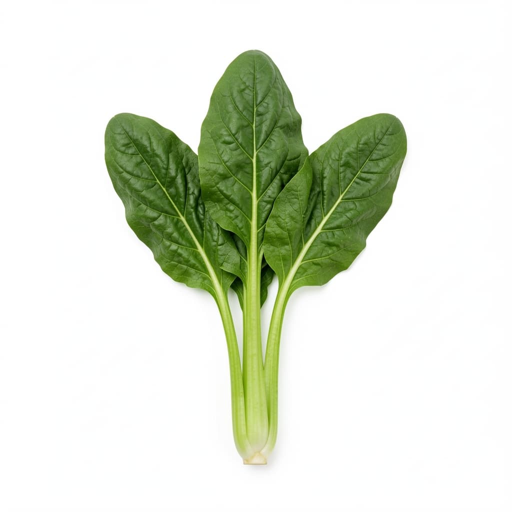 Broccoli Rabe