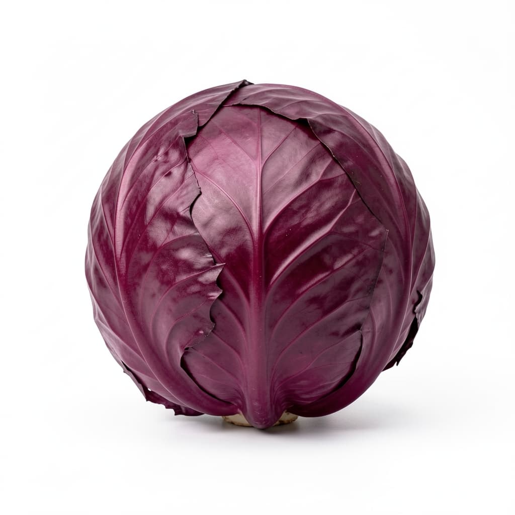 Red Cabbage