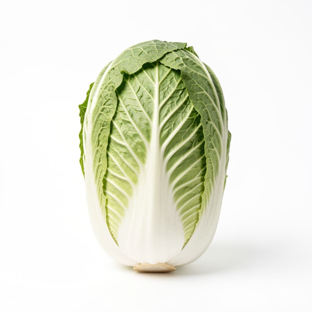 Napa Cabbage