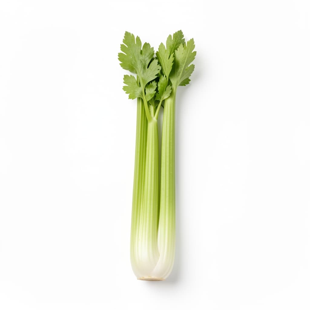 Celery