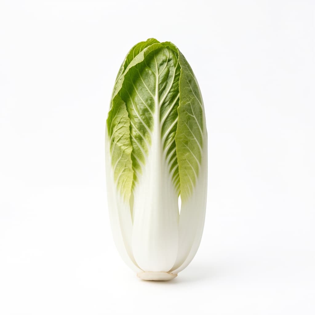 Belgian Endive
