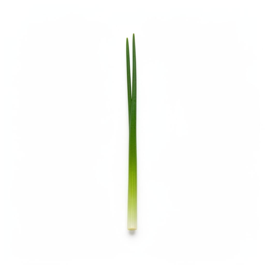Chives