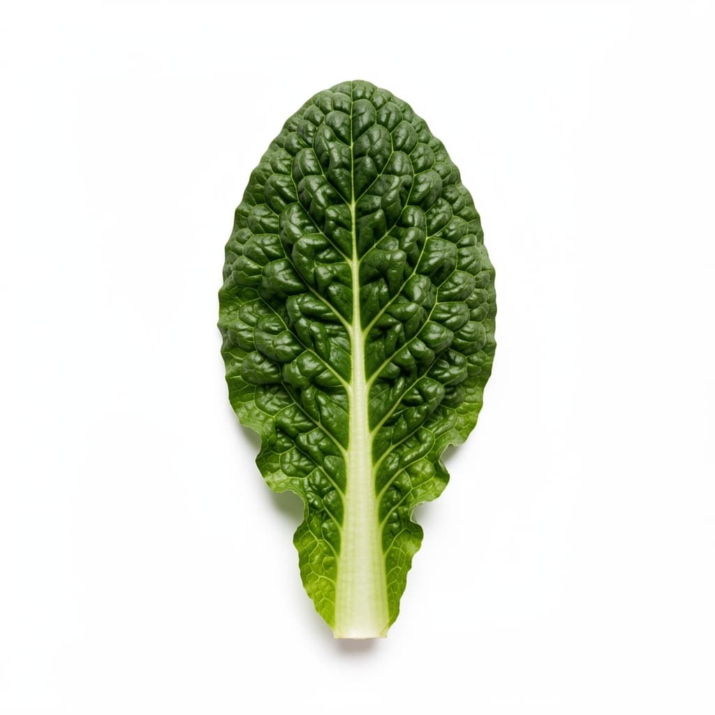 Kale
