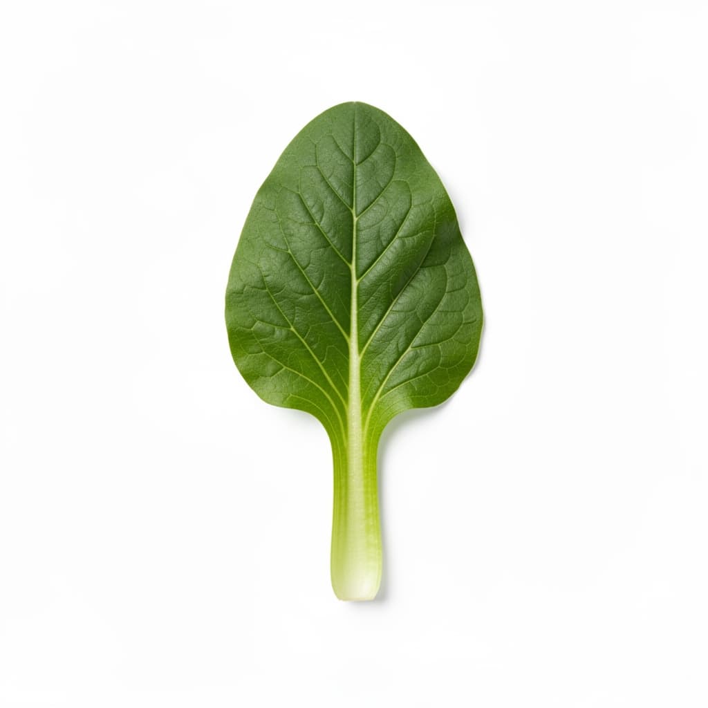 Mustard Greens