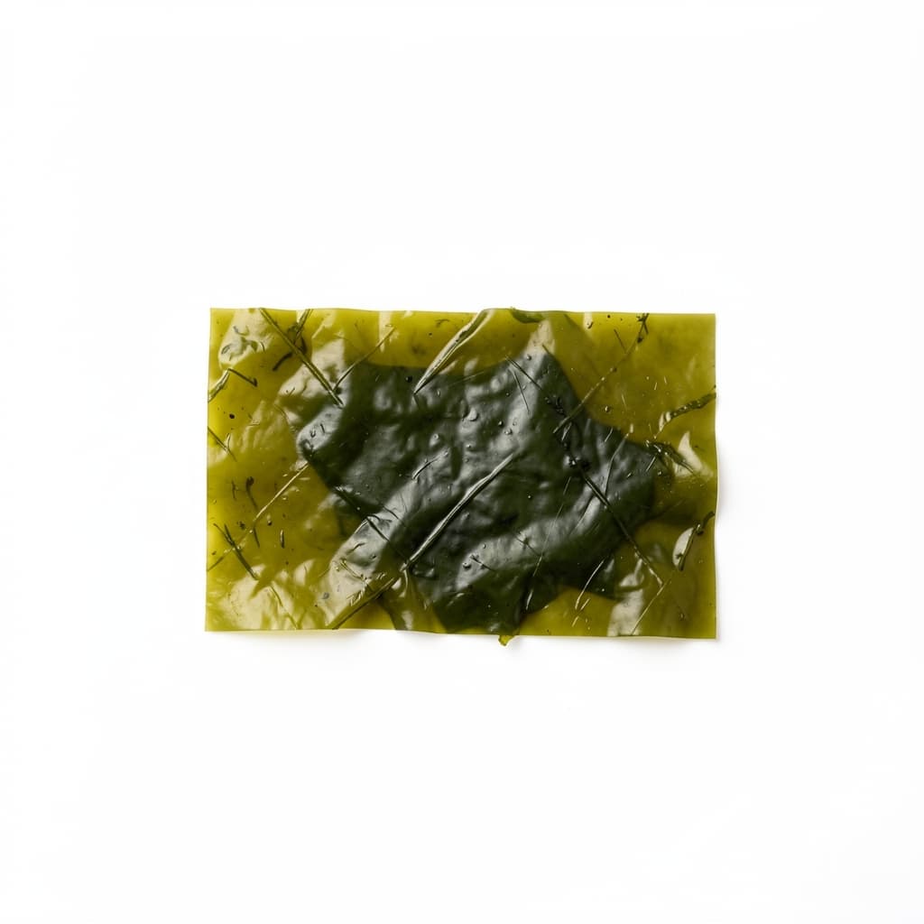 Seaweed