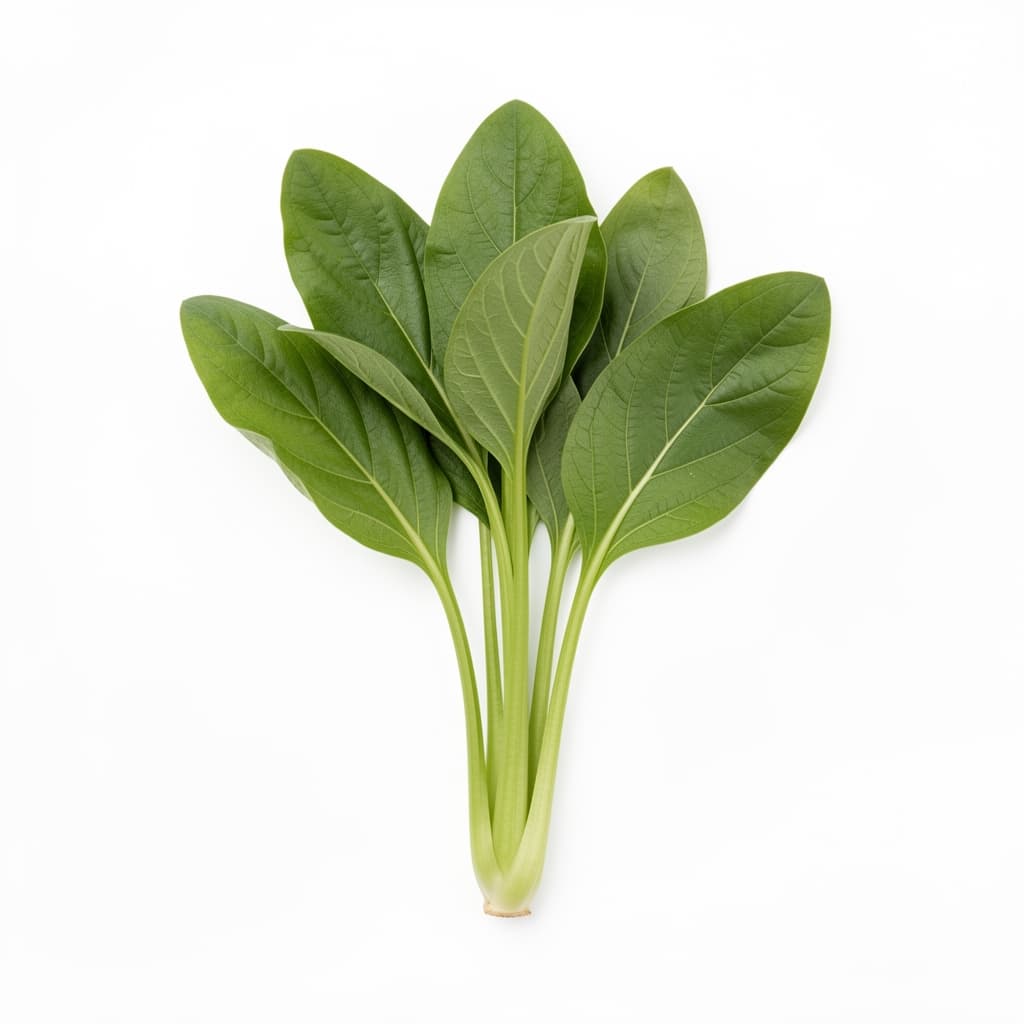 Water Spinach