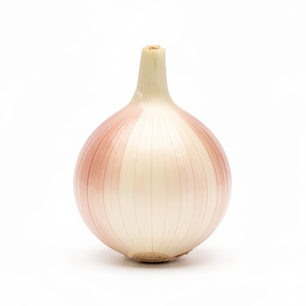 Shallot