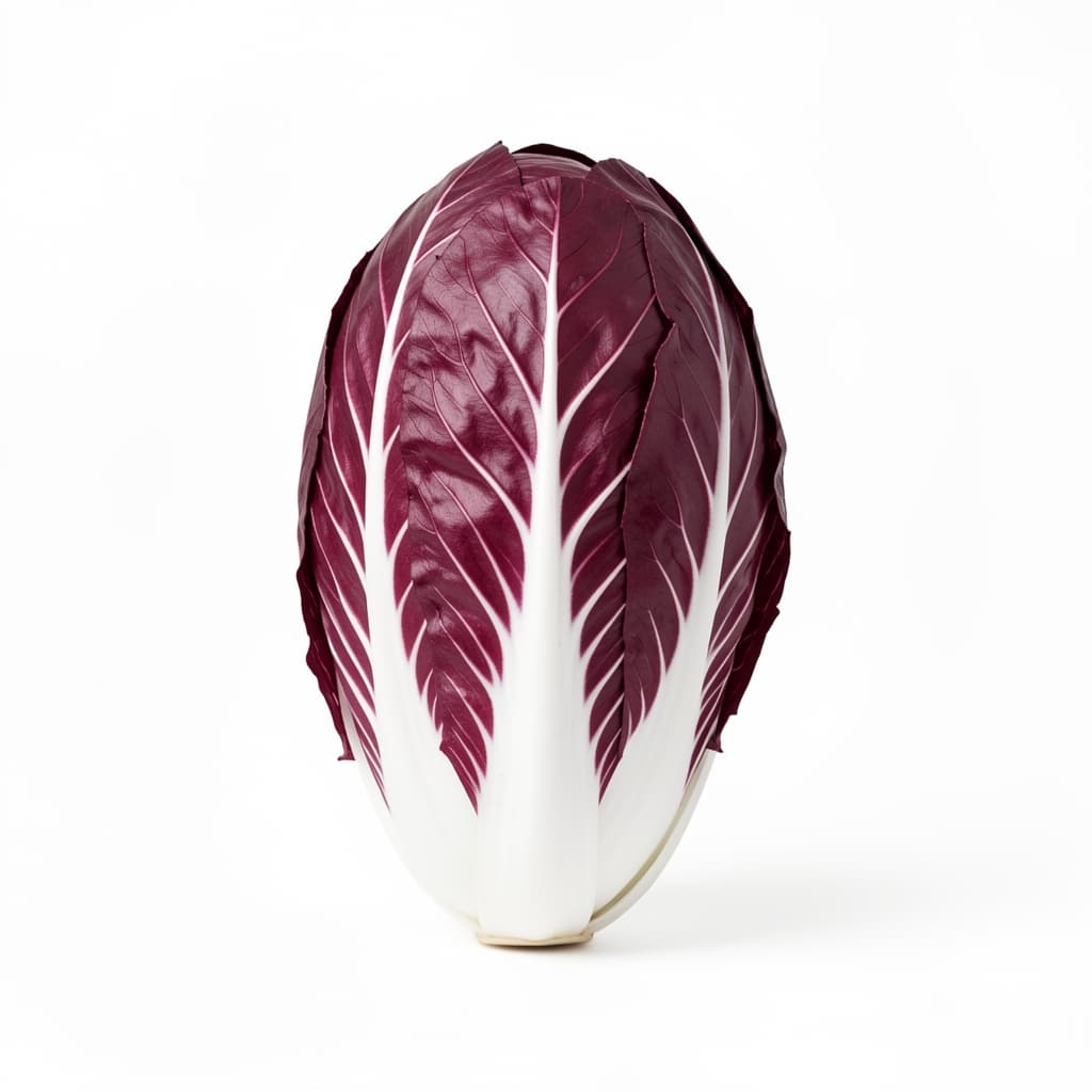 Radicchio