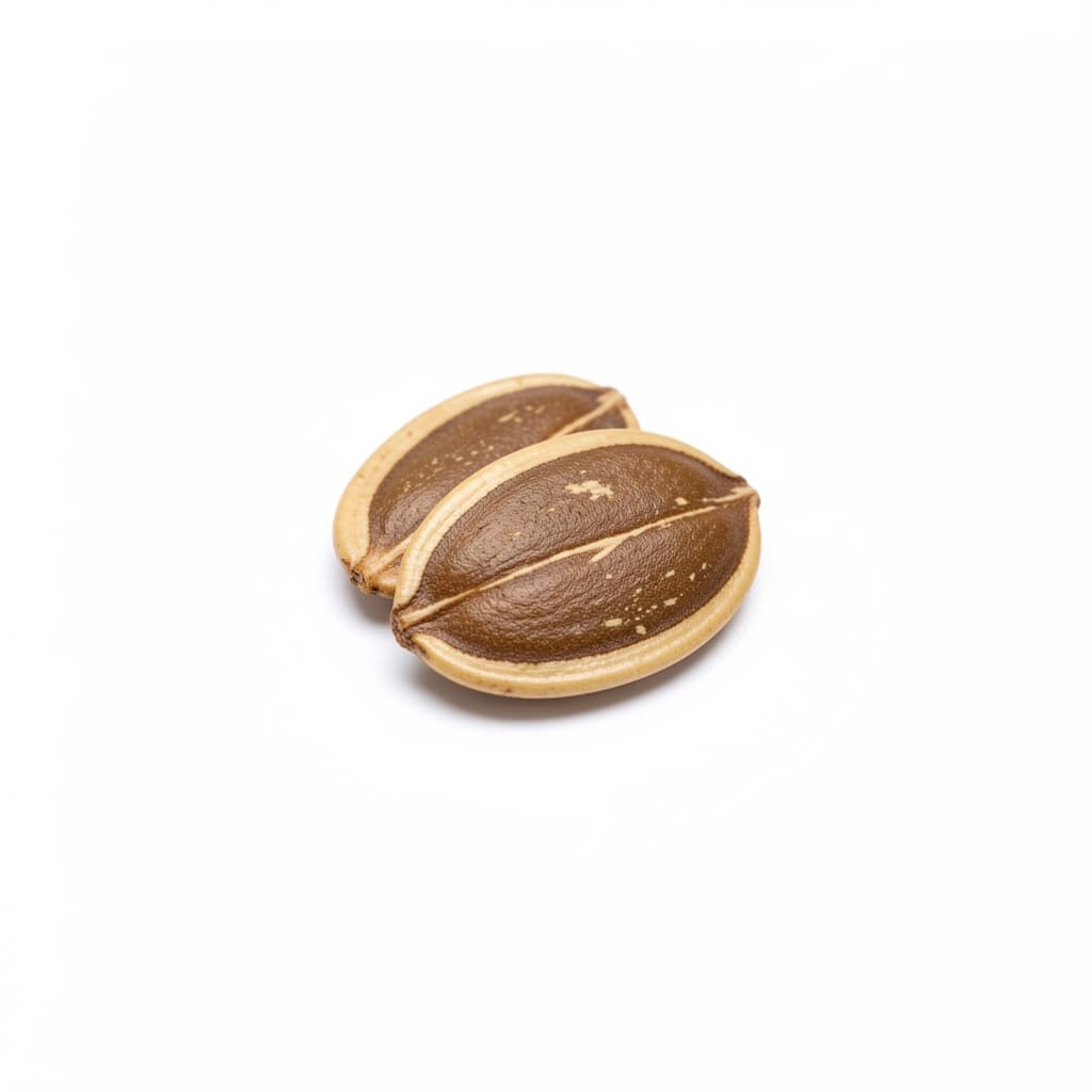 Pumpkin Seeds
