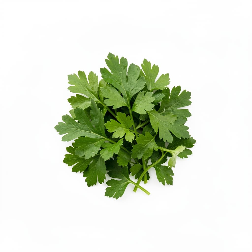 Freshly Chopped Parsley