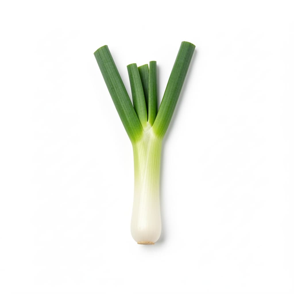 Scallions