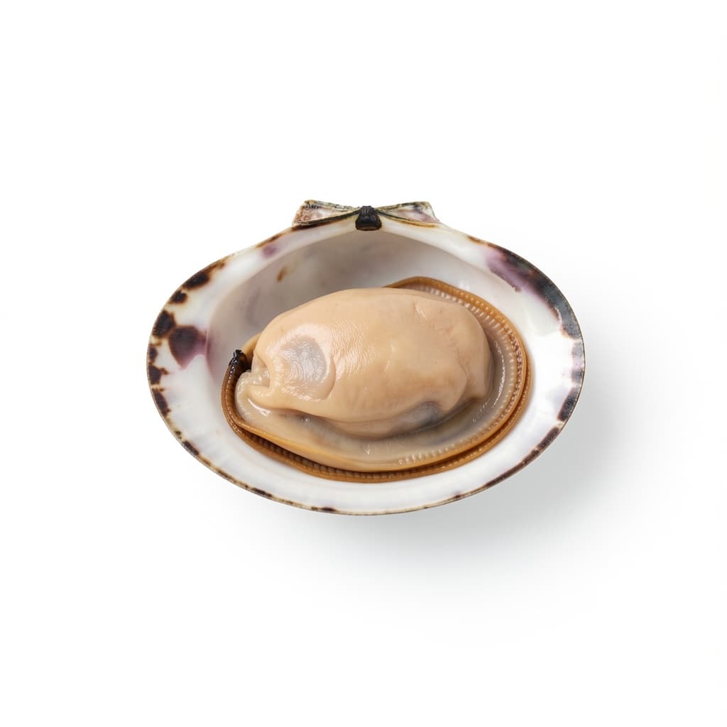 Clams