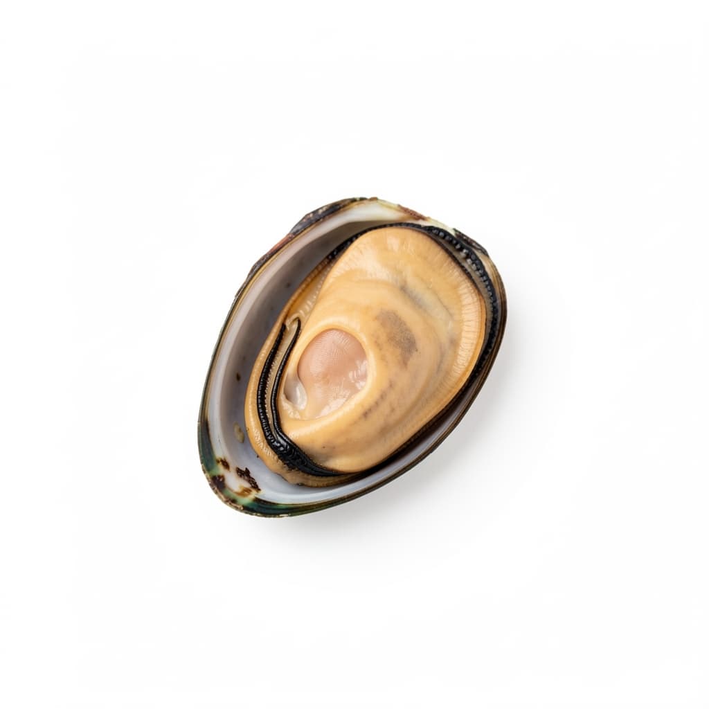 Mussels