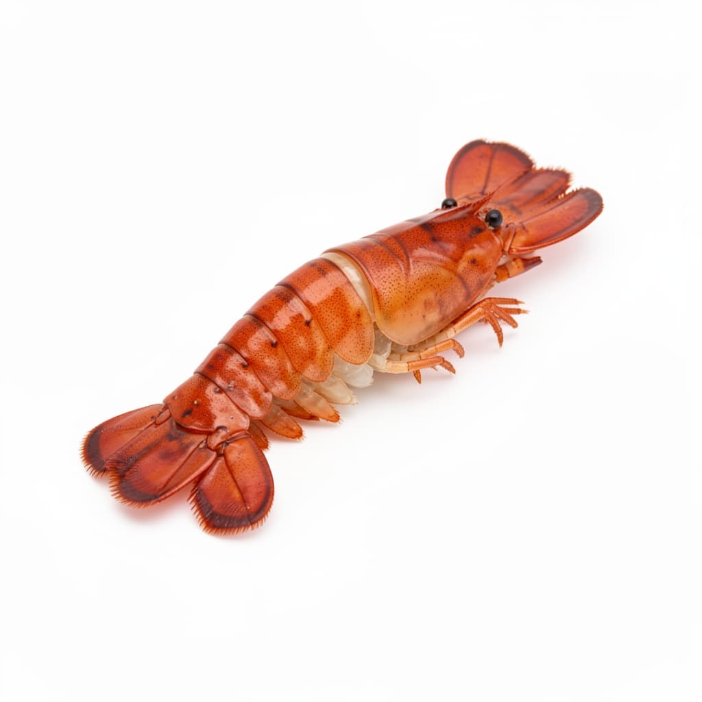 Crawfish Tails