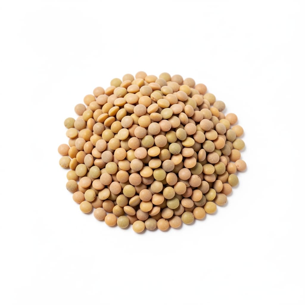 Puy Lentils