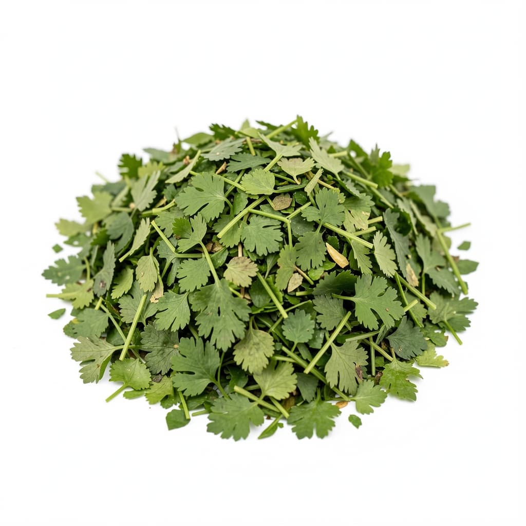 Coriander Leaves