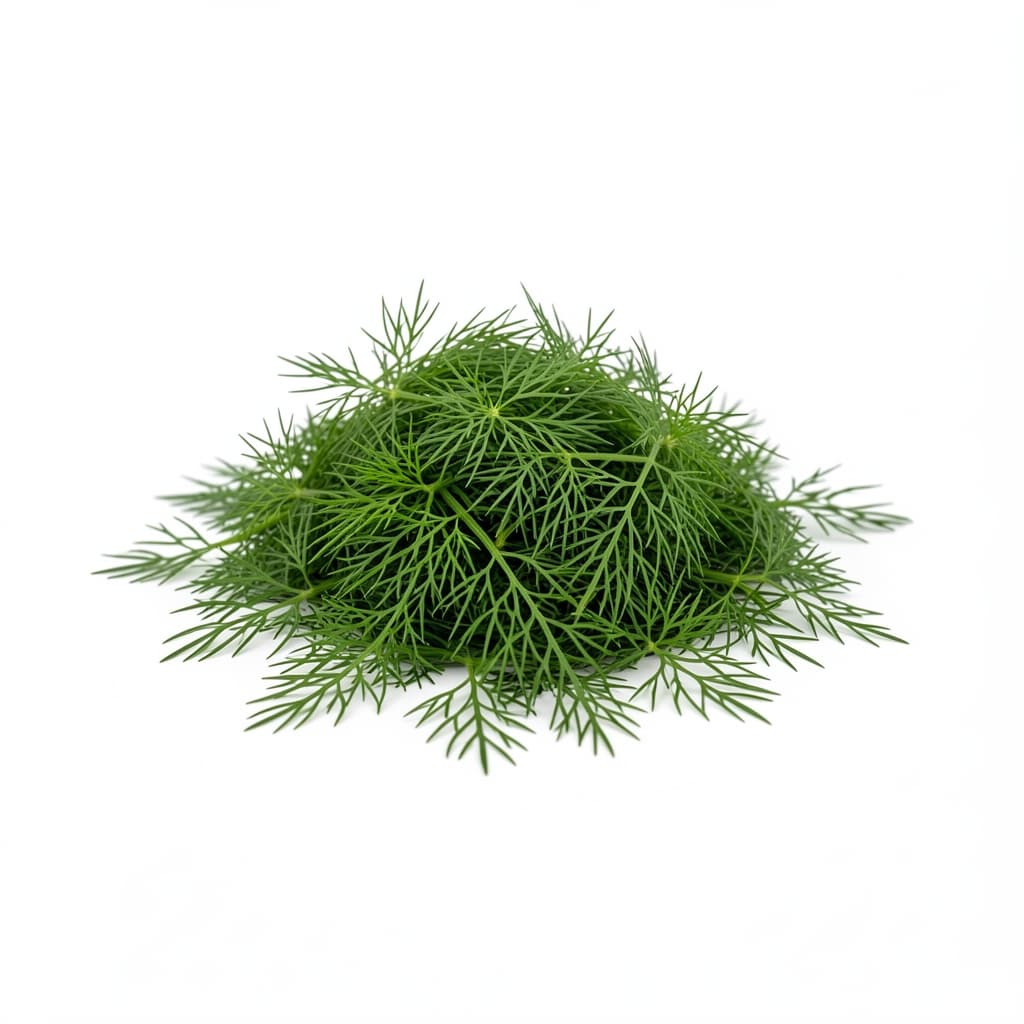 Dill
