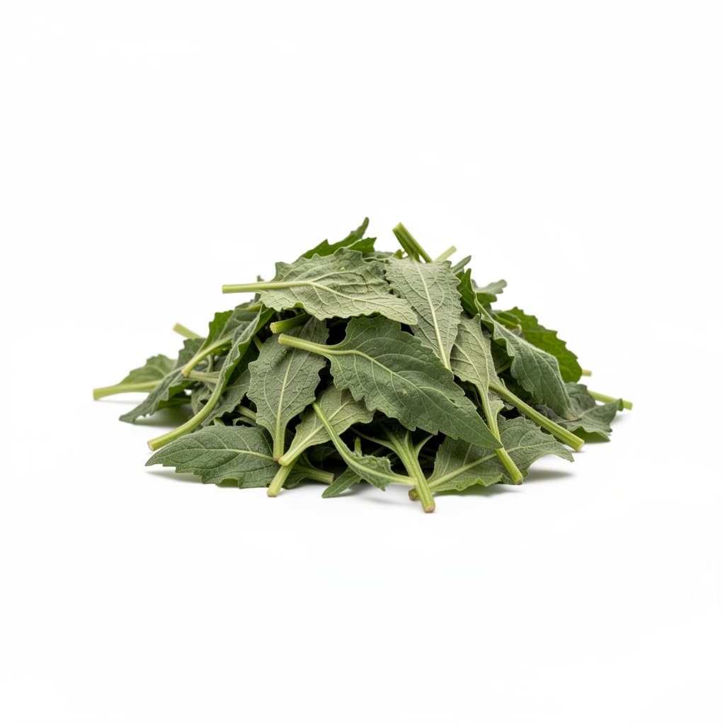 Bitter Leaves (Vernonia amygdalina)