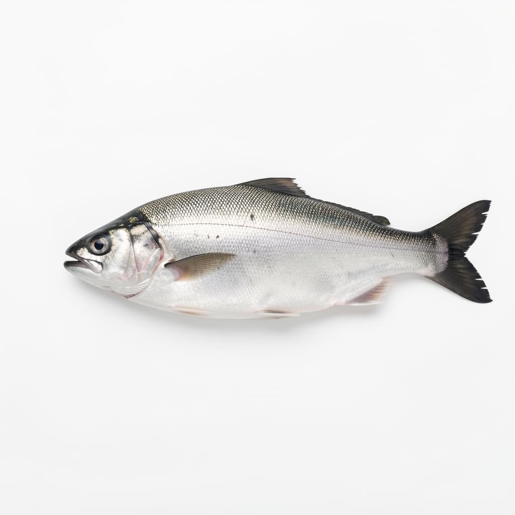 Whole Fish (e.g., Mackerel or Snapper)