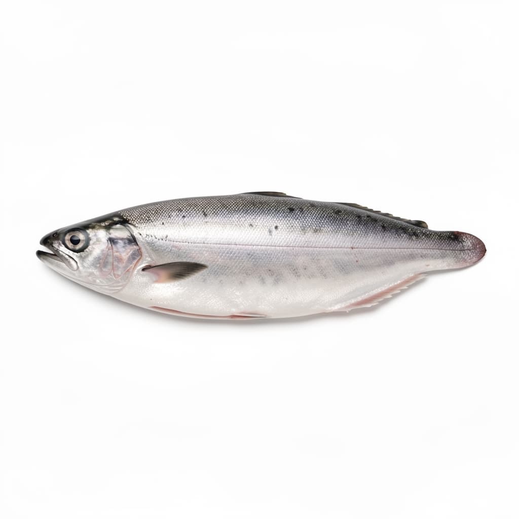 Fresh raw fish (e.g., tuna or mackerel)