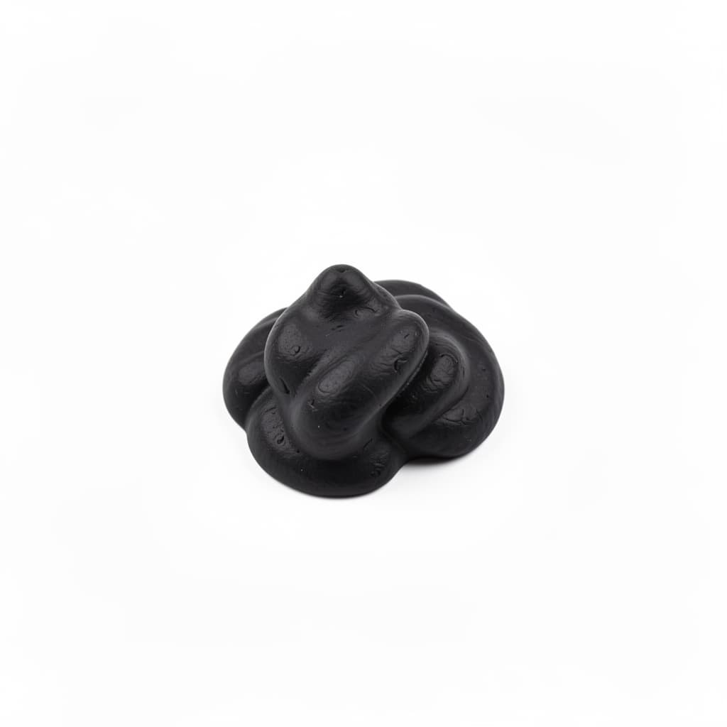 Squid Ink