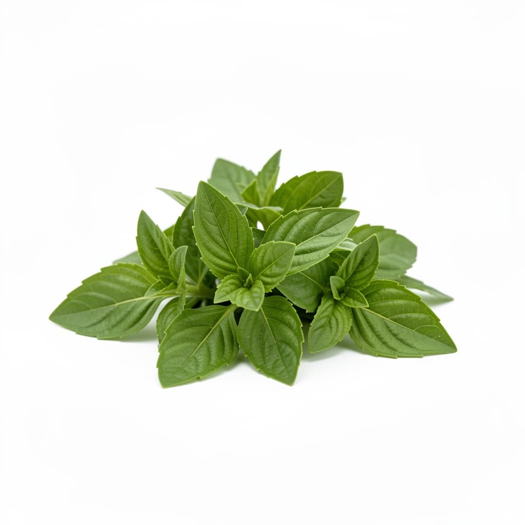 Thai Basil Leaves
