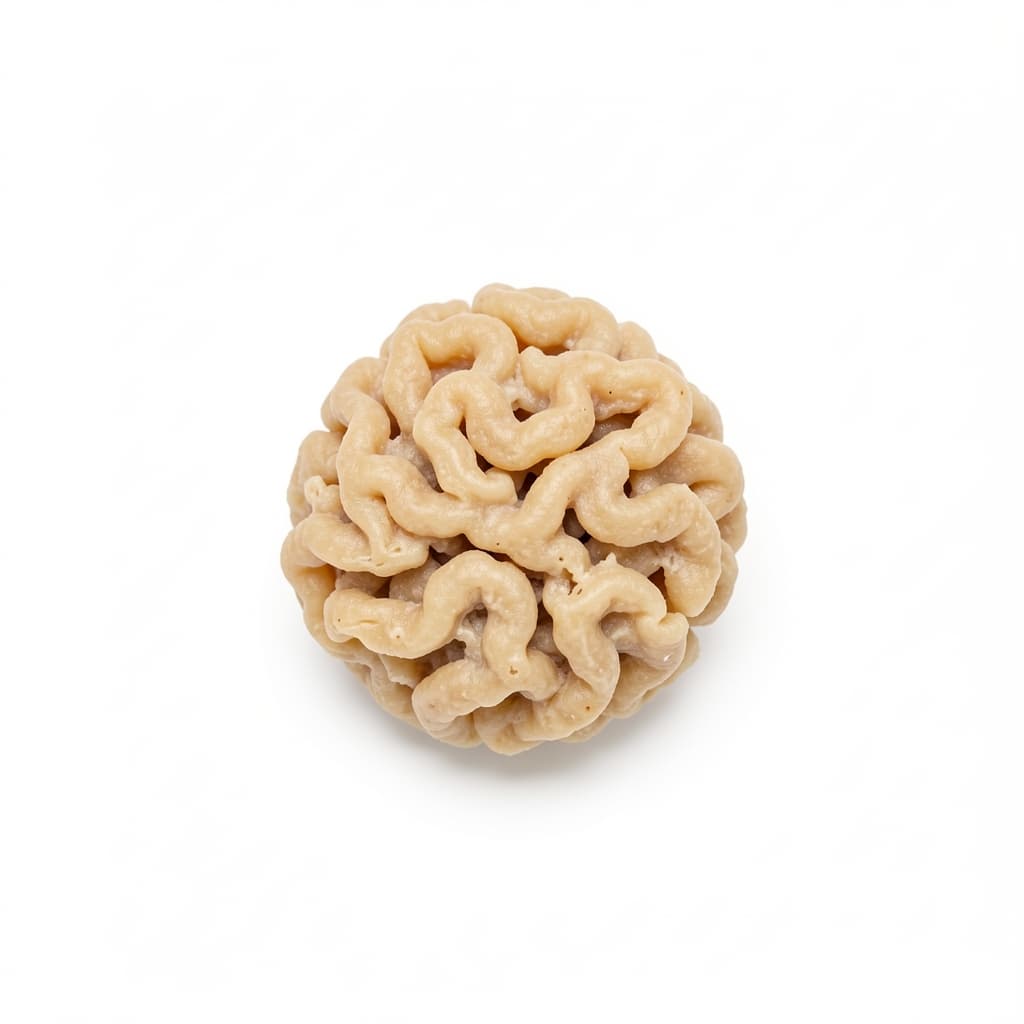 Tripe