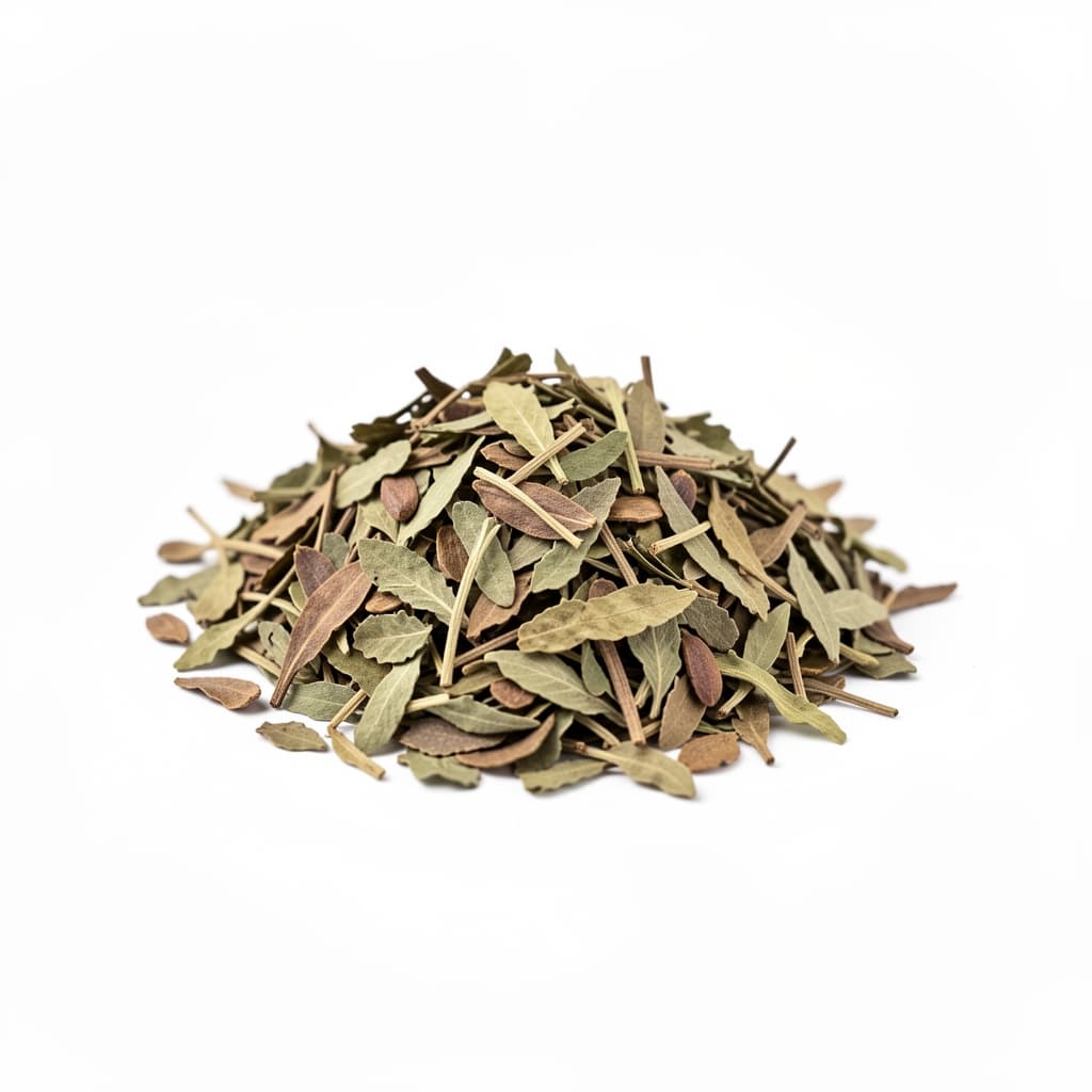 Yerba Maté leaves