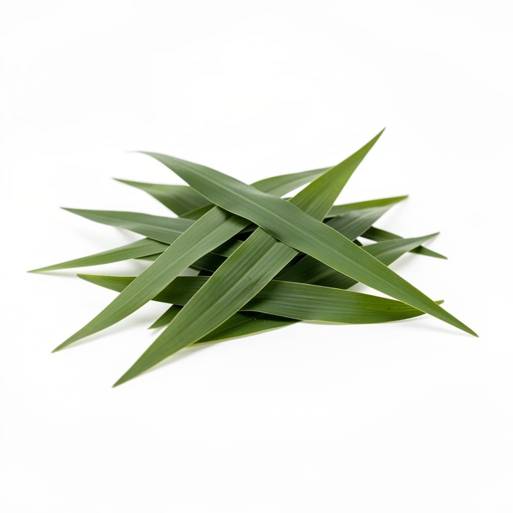 Pandanus Leaves