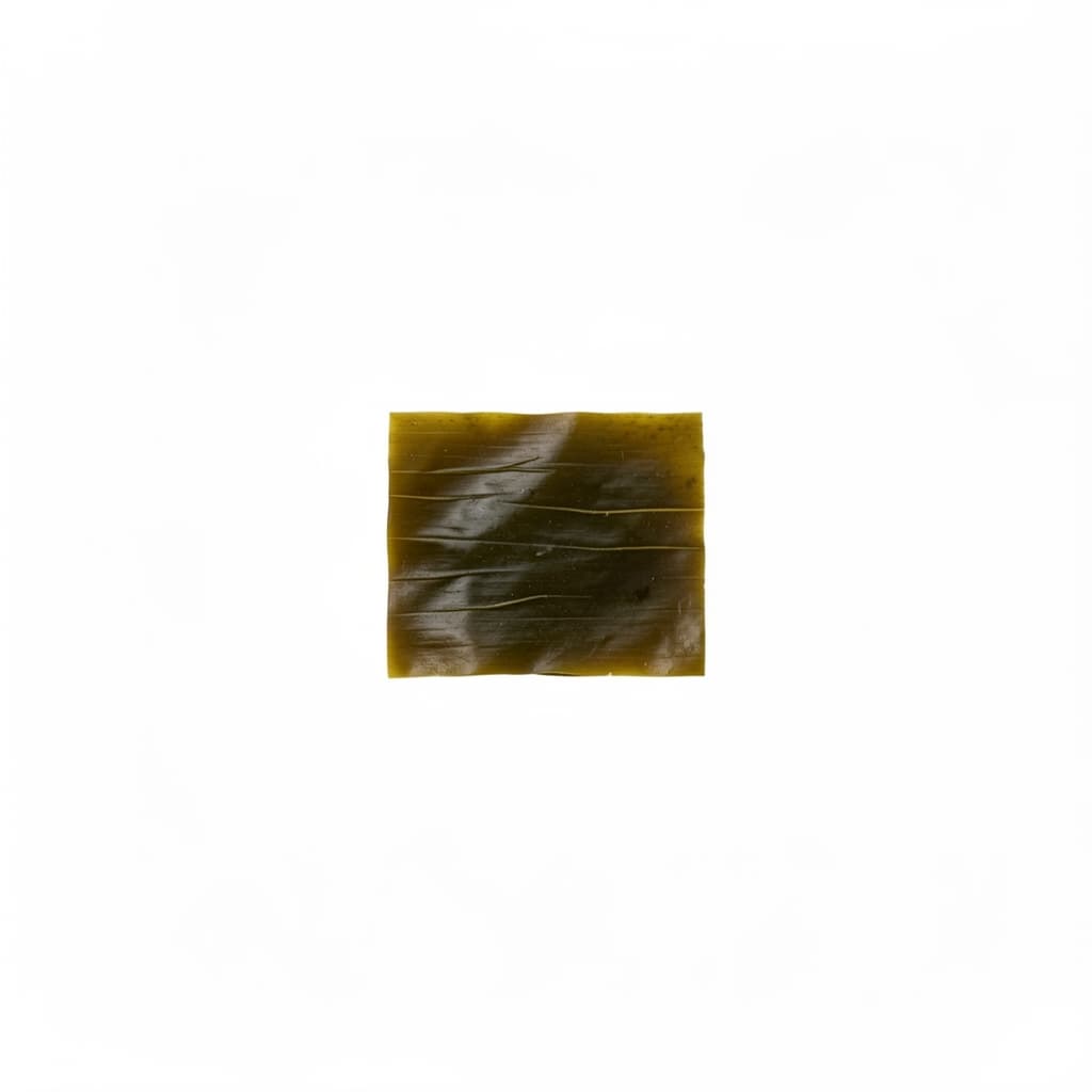 Kombu (dried kelp)