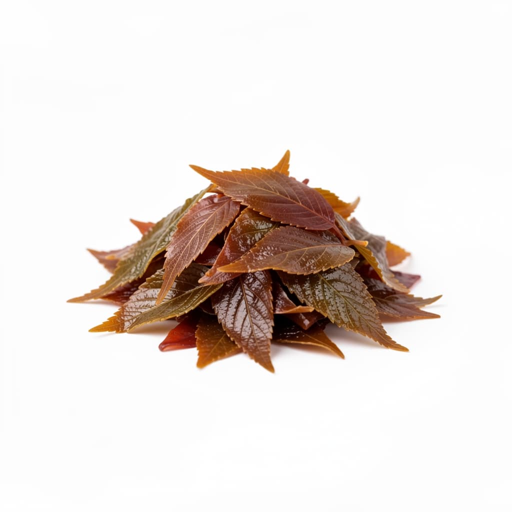 Pickled Cherry Blossom Leaves (Sakura-ba)