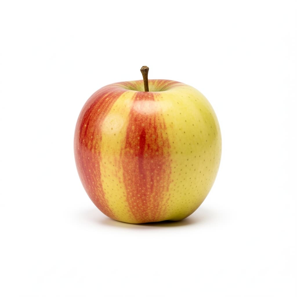Fruit or Cheese Filling