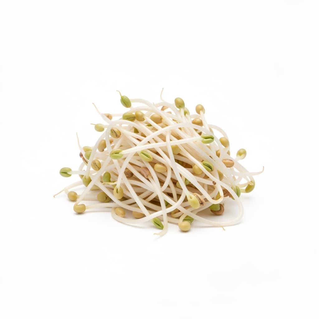 Soybean Sprouts