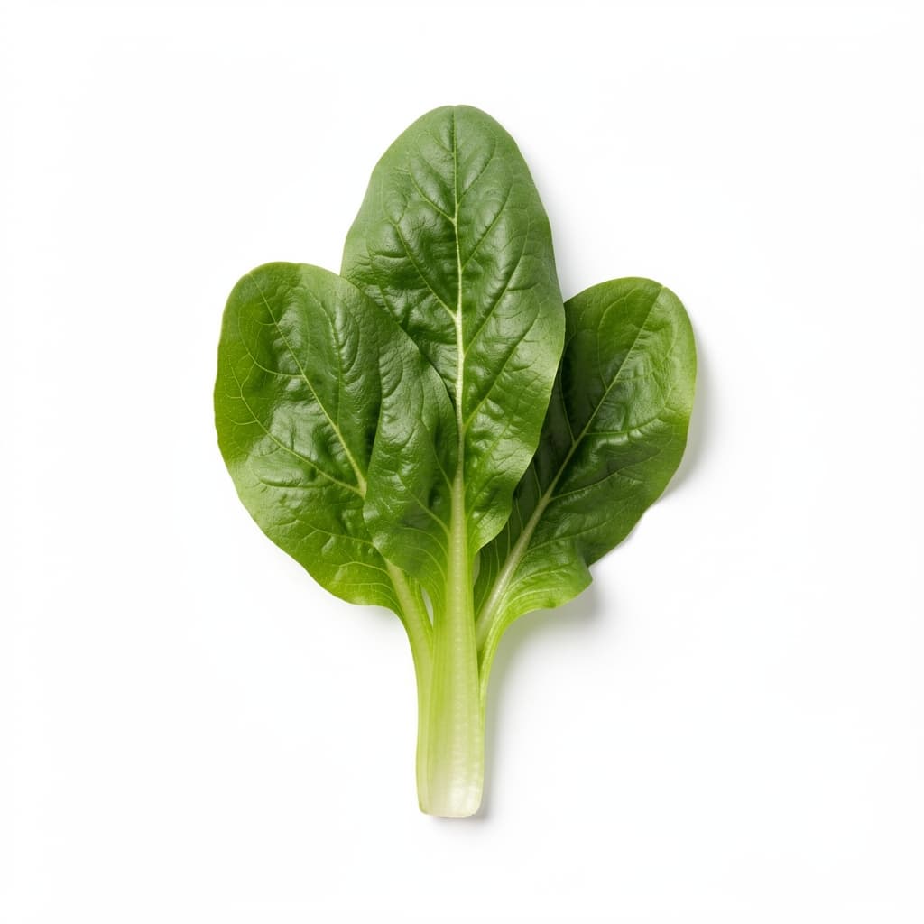 Salad Greens