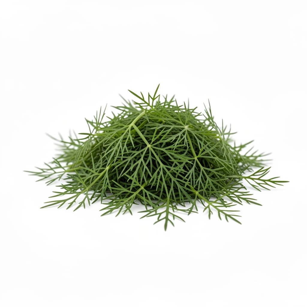 Dill Weed