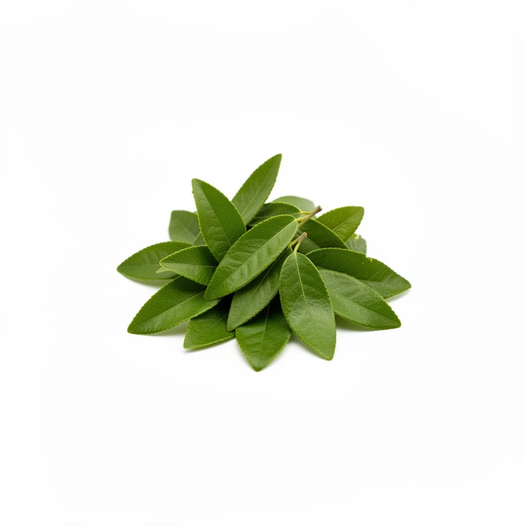 Makrut Lime Leaves