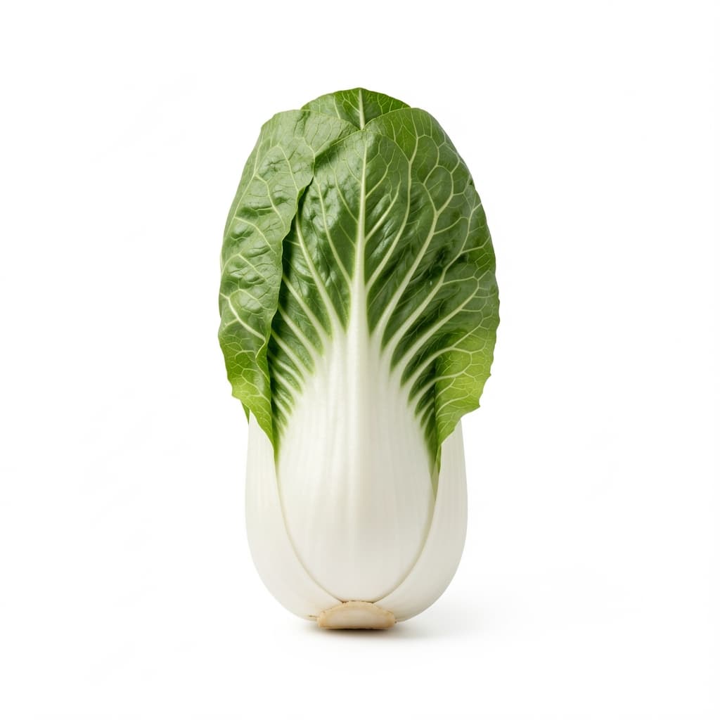 Chinese Cabbage