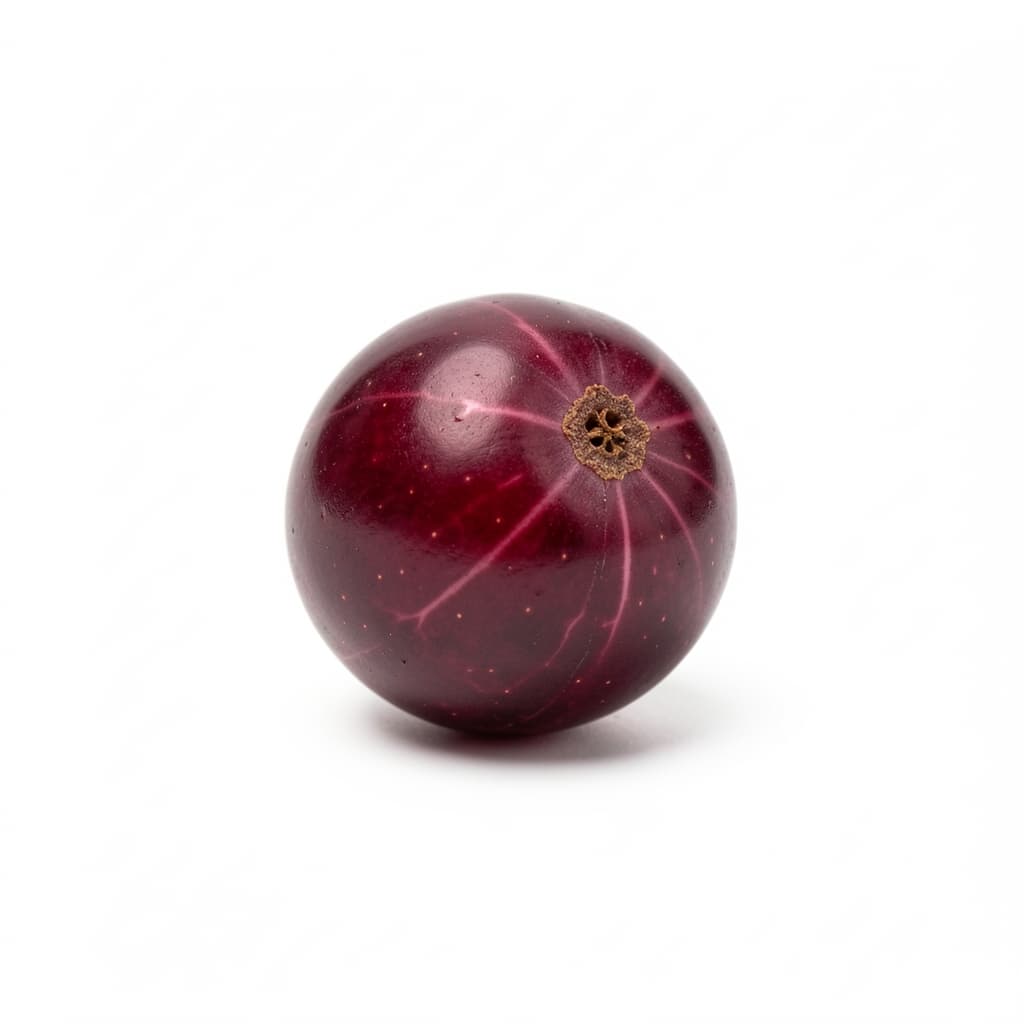 Currants