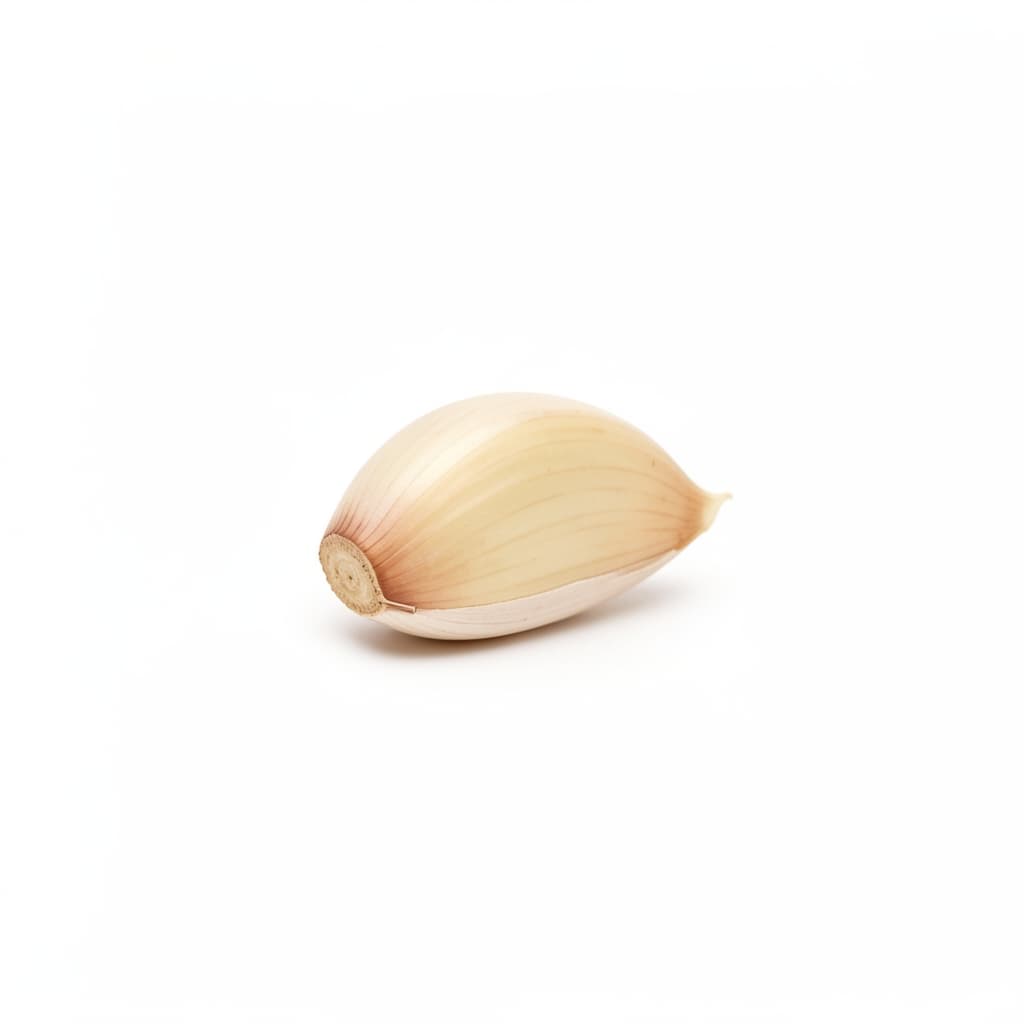 Garlic Clove